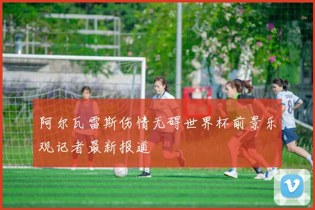 阿尔瓦雷斯伤情无碍世界杯前景乐观记者最新报道