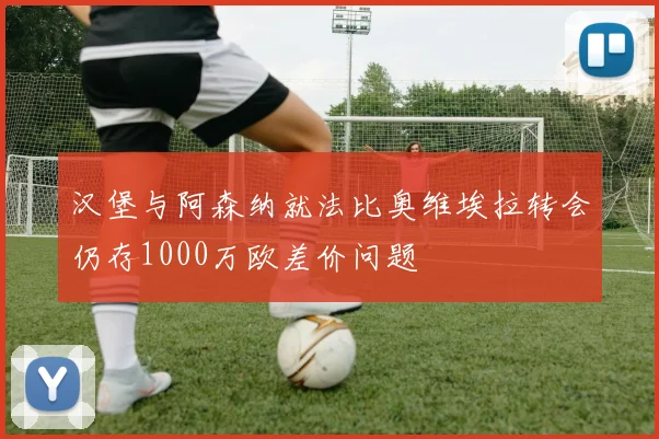汉堡与阿森纳就法比奥维埃拉转会仍存1000万欧差价问题