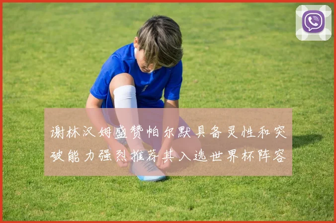 谢林汉姆盛赞帕尔默具备灵性和突破能力强烈推荐其入选世界杯阵容