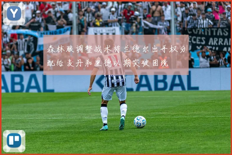 森林狼调整战术将兰德尔出手权分配给麦丹和里德以期突破困境